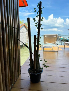 Star house old town lanta
